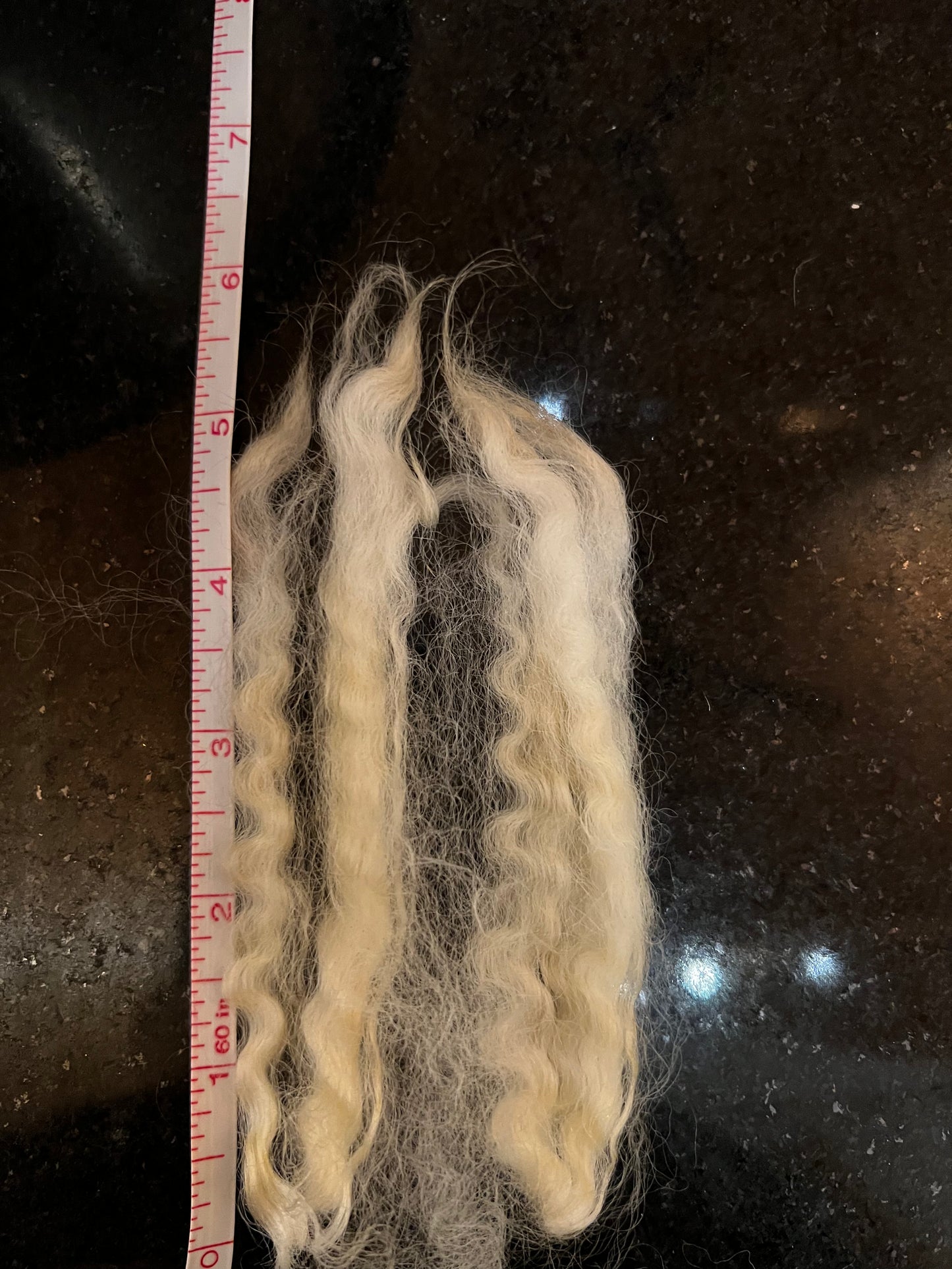 RAW WOOL: 5-6" staple length - Border Leicester