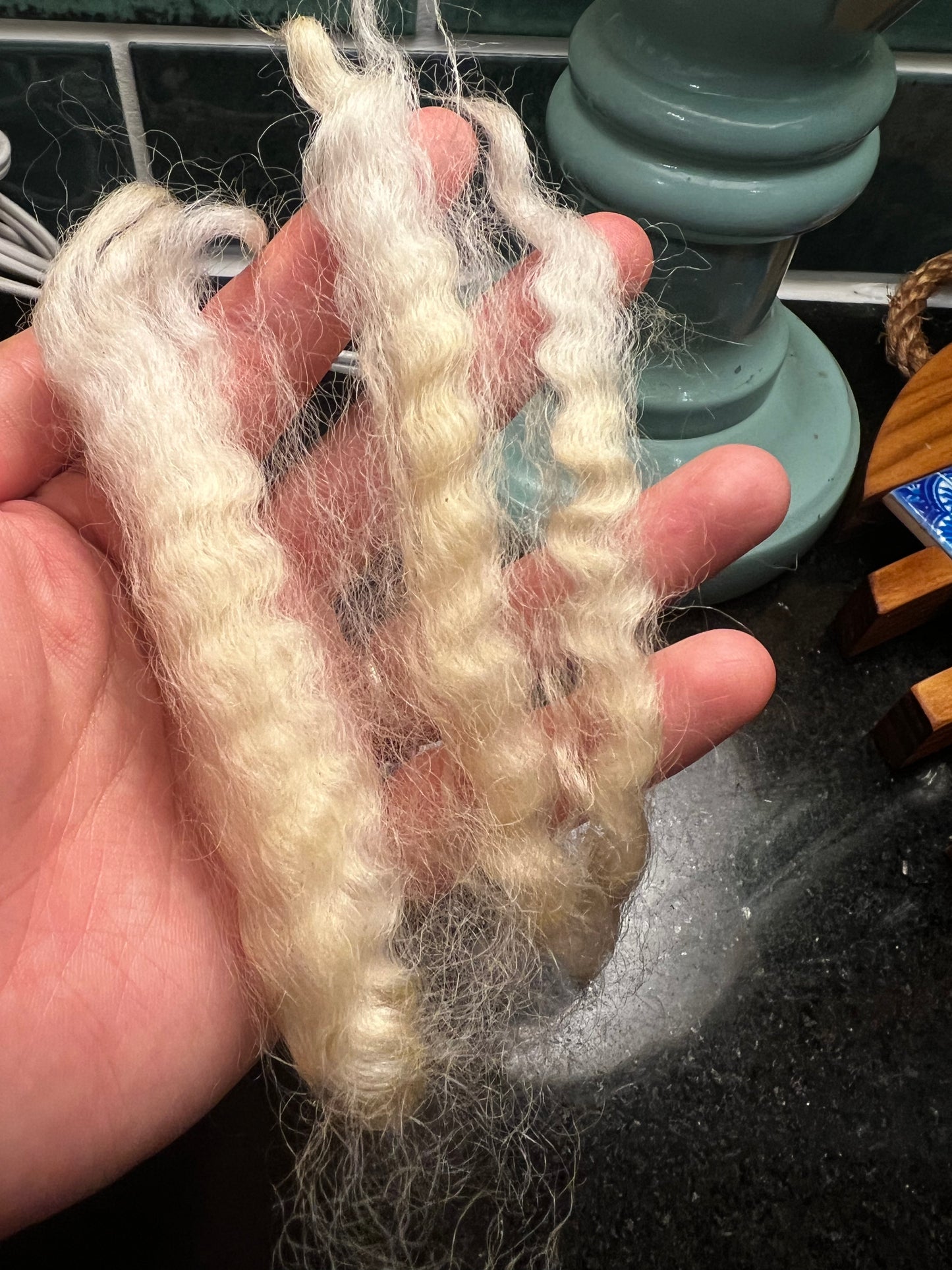 RAW WOOL: 5-6" staple length - Border Leicester