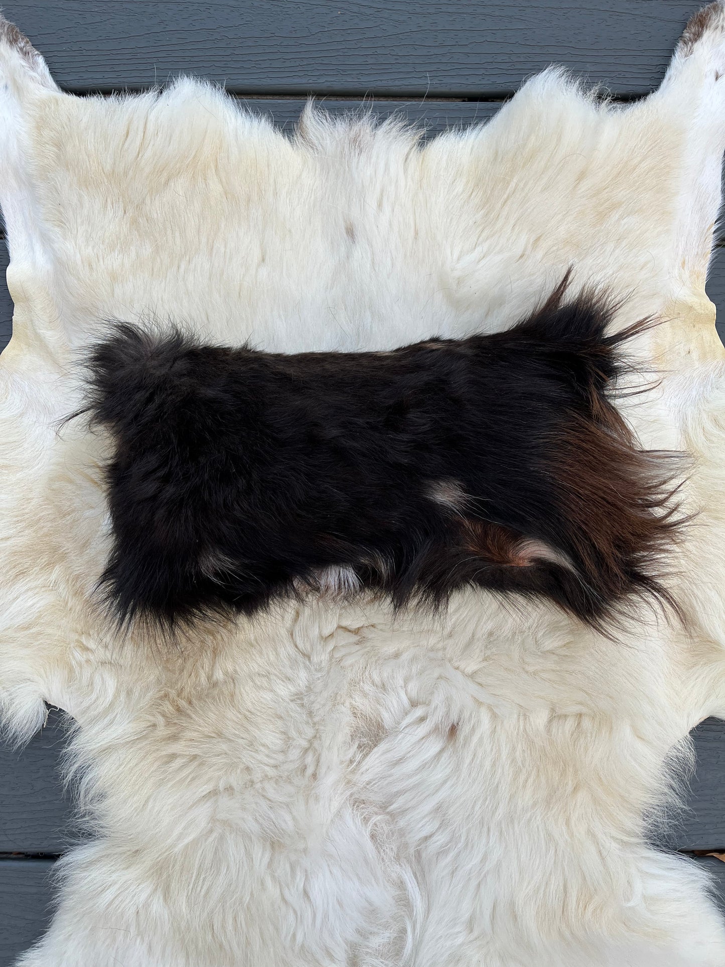 Medium Goat Hide pillow